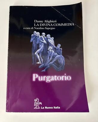 Letteratura italiana - Purgatorio