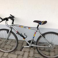 Bicicletta Ritchey uomo