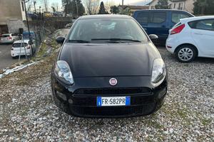 Fiat Punto 1.2 8V 5 porte Street - Si Permuta - Ok