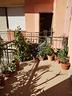 r504-viale-italia-vicinanze-emiciclo-garibaldi