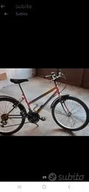 MTB da ragazzo