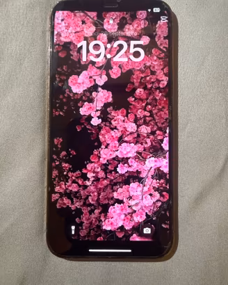 iPhone 12 Pro Max 128 gold