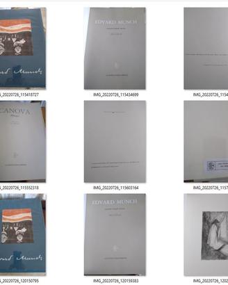 LIBRI LA NUOVA ITALIA FIRENZE + R.LONGHI-SANSONI