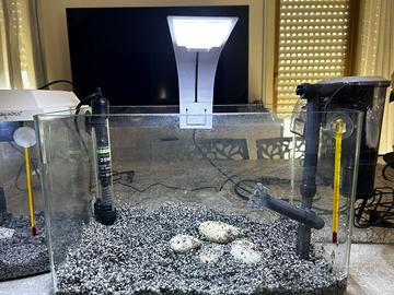 Aquario 20 lt e 10 lt per pesci tropicali