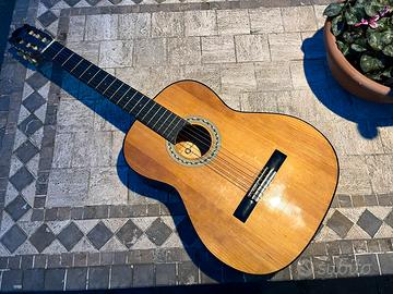 Chitarra Century CG-510