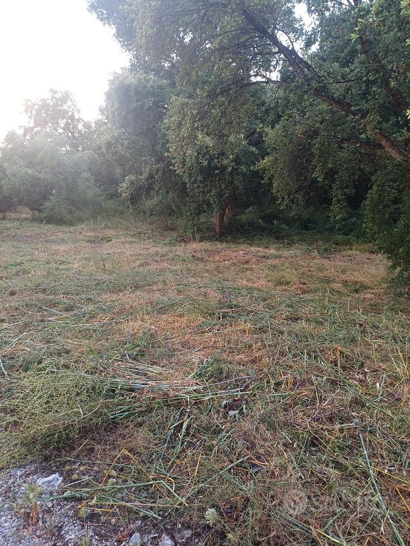terreno a vibonati - Vista 3