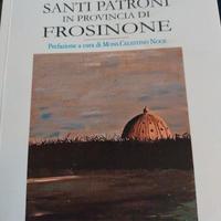 Memoria e culto santi patroni provincia Frosinone 