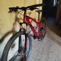 mountain bike