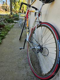 bici da corsa Rossin componenti campagnolo 