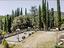 Immagine 19