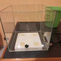 Acquario 30lt