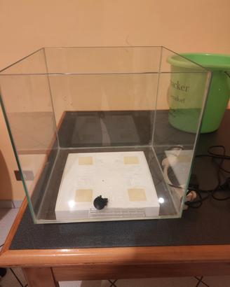 Acquario 30lt