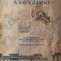 Piazza vecchia a savigliano