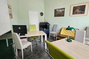 Professionista per co-working
