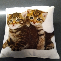 Cuscino con gattini