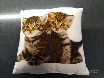 Cuscino con gattini
