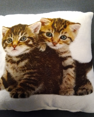 Cuscino con gattini