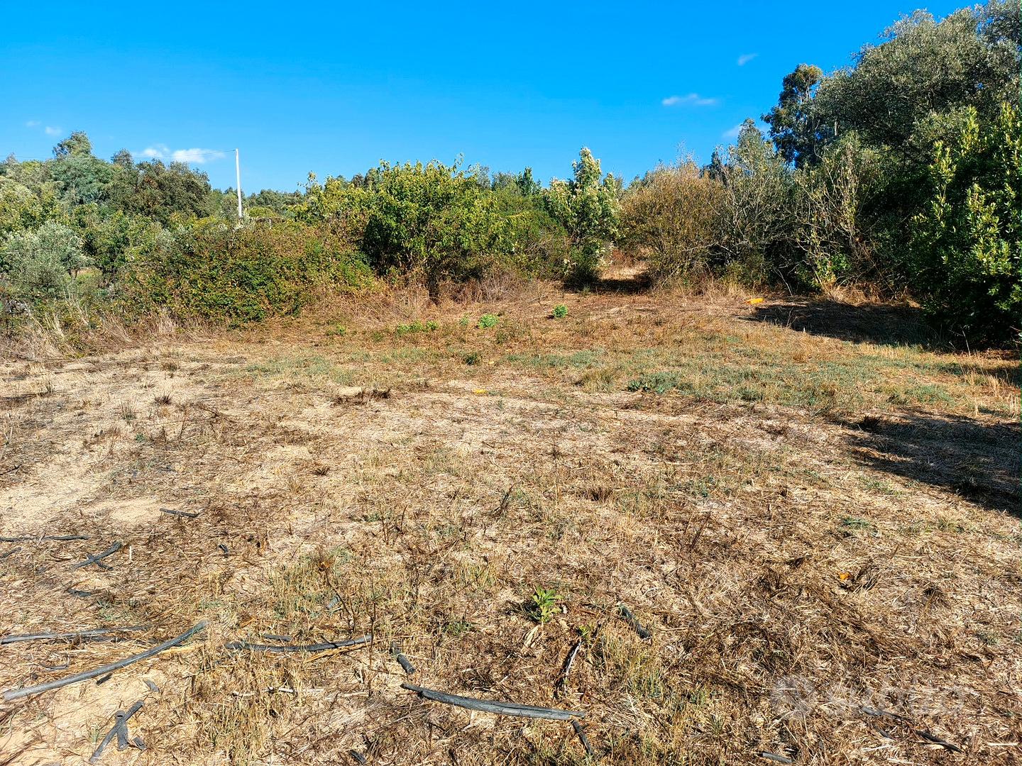 Terreno agricolo in buona posizione - Altro