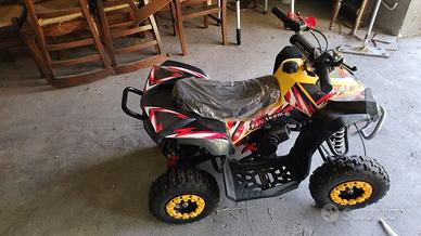 Miniquad 50cc