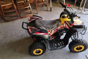 Miniquad 50cc