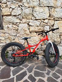 Fat bike 