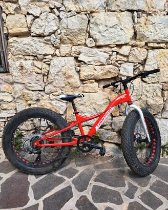 Fat bike 