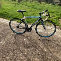 Viner corsa Perfecta