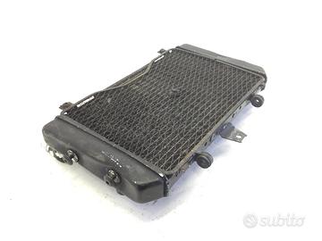 RADIATORE ACQUA LIQUIDO RAFFREDDAMENTO MOTORE E GR