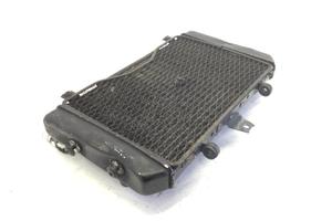 RADIATORE ACQUA LIQUIDO RAFFREDDAMENTO MOTORE E GR