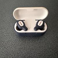 Auricolari Pantone True Wireless Earbuds