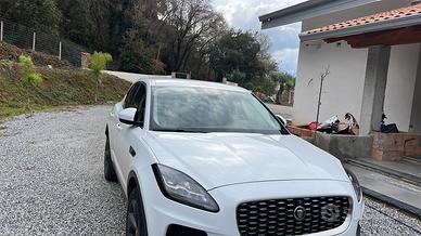 Jaguar e pace