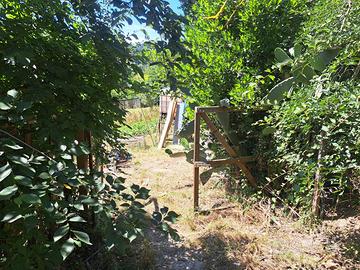 Terreno agricolo Mentana circa 5000 metri quadri