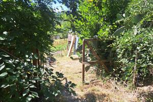 Terreno agricolo Mentana circa 5000 metri quadri