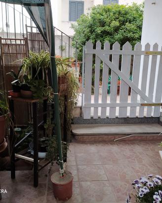 Cabras PenisolaSinis IsArutas PTgiardino Settembre