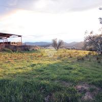 TER. AGRICOLO A MOMPEO