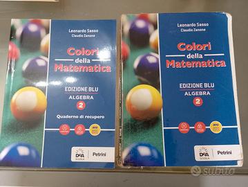 Colori della matematica algebra 2 - Sasso e Zanone
