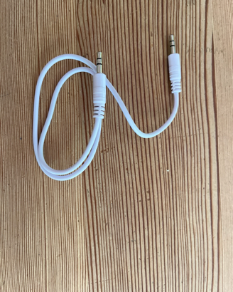 Cavo AUX maschio-maschio da 3,5 mm – circa 50 cm