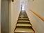 Immagine 13
