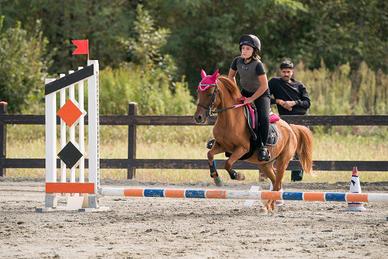 Pony