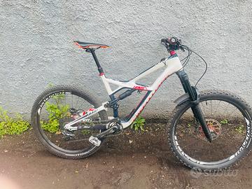 specialized enduro carbon