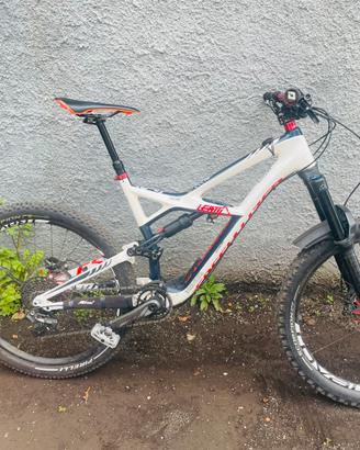 specialized enduro carbon