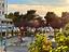 Immagine 27