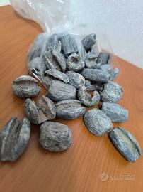 Piombi usati da pesca (2kg)