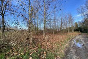 Terreno di 1100 m² a Teglio Veneto