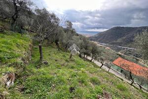 TER. AGRICOLO A CHIAVARI