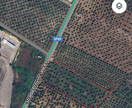Terreno a 1 km da Mariotto