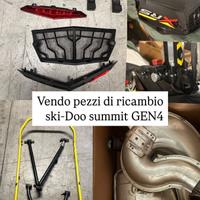 Motoslitta Ski doo summit 2018
