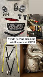 Motoslitta Ski doo summit 2018