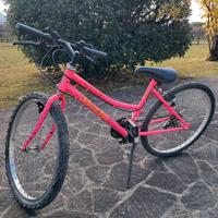 bicicletta
