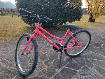 bicicletta